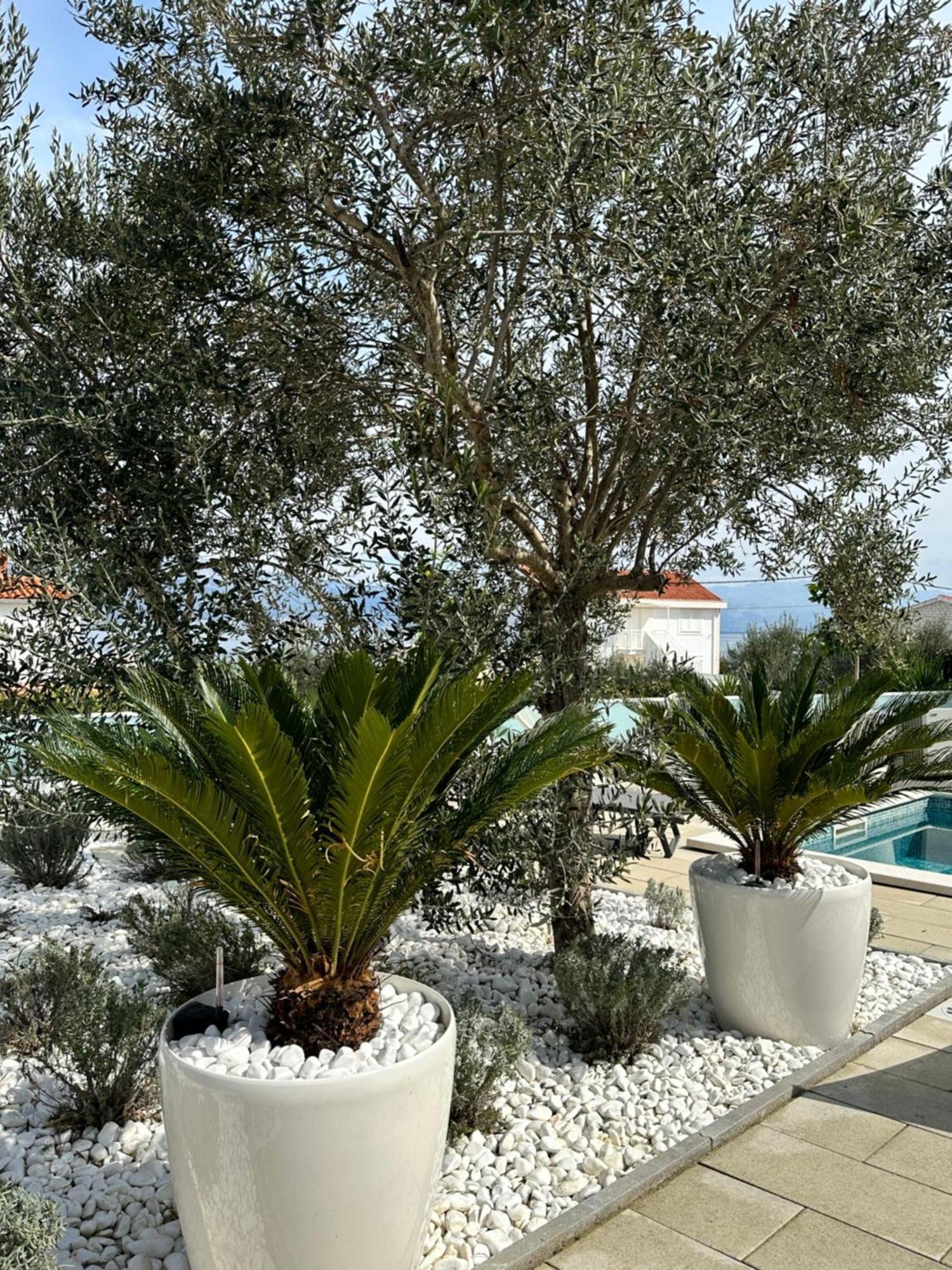 Apartments Marina Trogir Eksteriør billede